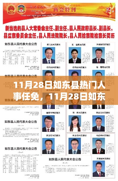 11月28日如东县人事任免深度解读及观点阐述