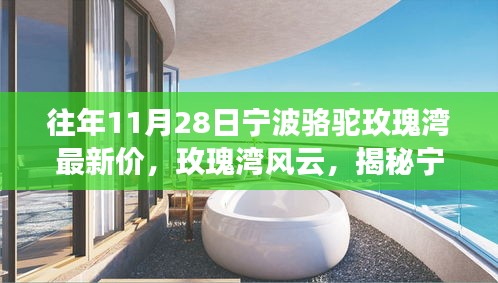 揭秘宁波骆驼玫瑰湾房价变迁，历年11月28日最新房价回顾与风云解析