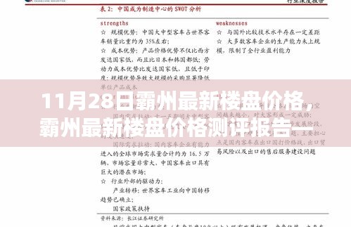 霸州最新楼盘价格深度解析与用户体验测评报告（XXXX年11月版）