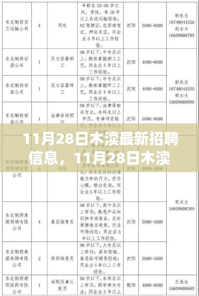 11月28日木渎最新招聘信息详解与全面评测