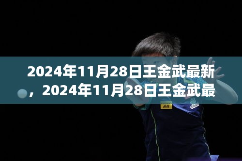 王金武最新动态揭秘，探索成功之路的新篇章，2024年11月28日