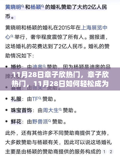 11月28日章子欣热门话题揭秘，轻松成为话题焦点，初学者与进阶用户指南