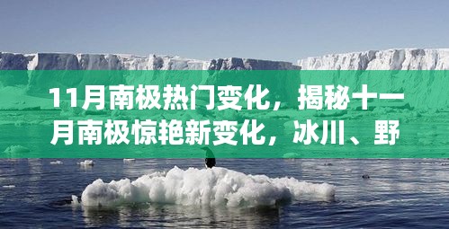 揭秘十一月南极新变化，冰川、野生动植物与你共舞南极之旅