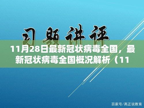 最新冠状病毒全国概况解析报告（11月28日版）