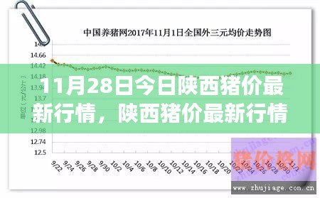 陕西猪价最新行情深度解析，行业观察与影响报告（11月28日）