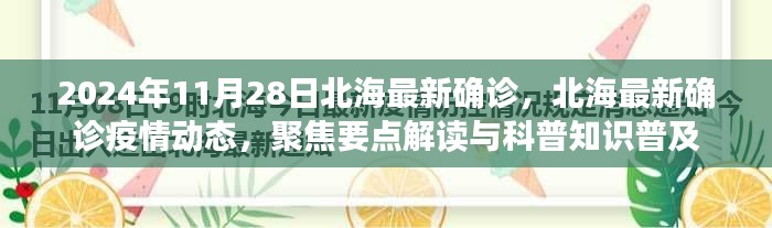 北海疫情最新动态，聚焦确诊案例解读与科普知识普及（2024年11月28日更新）