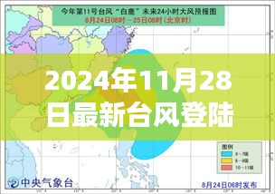 台风来袭！阳江最新台风应对指南——初学者安全指南