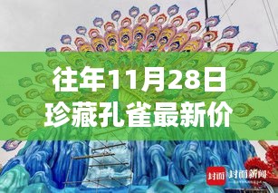 往年11月28日珍藏孔雀最新价格表，全面解读孔雀特性、用户体验与目标用户群体分析