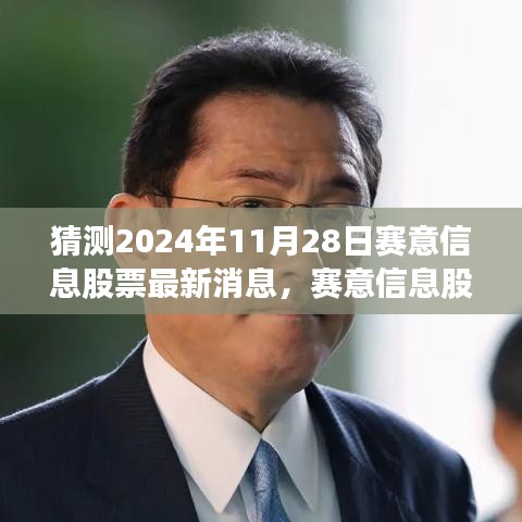 赛意信息股票最新消息评测，洞悉特性与未来展望（预测至2024年11月28日）