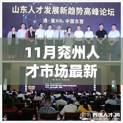 11月兖州人才市场最新招聘，机遇与挑战一览