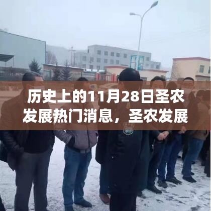 历史上的11月28日圣农发展日，温馨故事与热门消息回顾