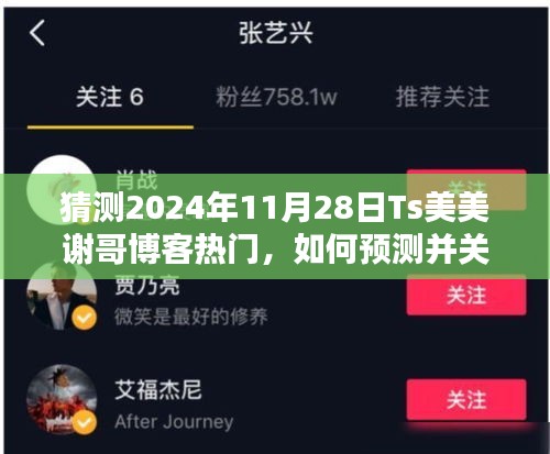 如何预测并关注Ts美美谢哥博客热门动态，初学者与进阶用户指南（2024年11月28日热门预测）