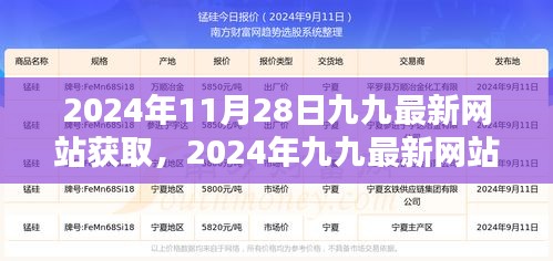 揭秘2024年九九最新网站价值，深度解读其获取方式与价值所在