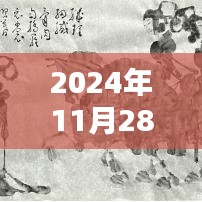 2024年11月28日无为热门招聘平台深度解析与评测报告