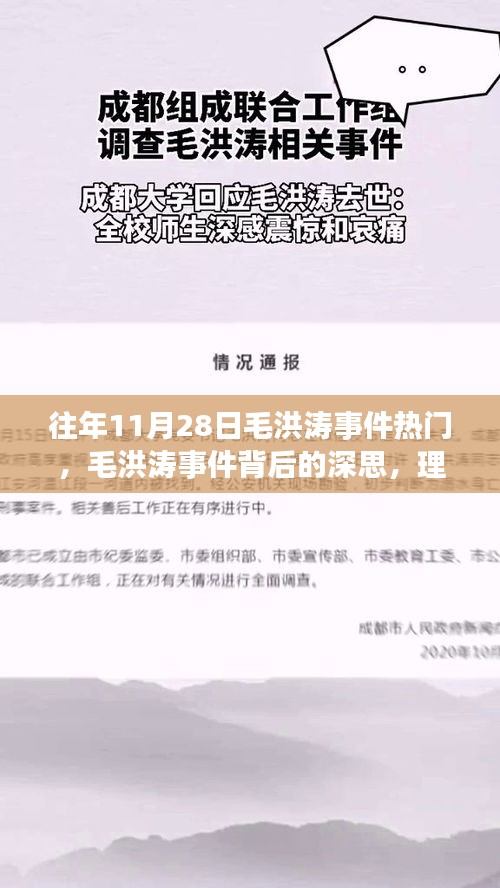 毛洪涛事件背后的深思，理性看待与公正评价的重要性，引发社会热议的反思