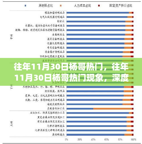 深度解析，杨哥现象——往年11月30日的热门及其影响力揭秘