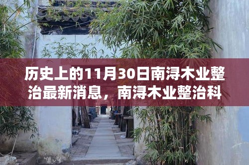 南浔木业整治科技新纪元，高科技智能木业系统焕新亮相，最新消息揭秘历史性的11月30日