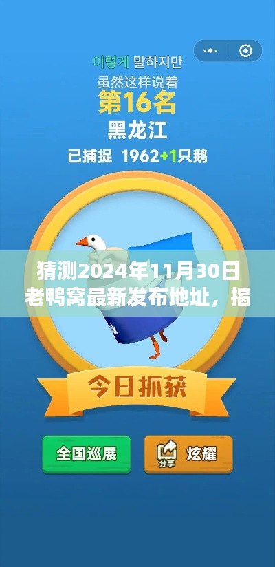 揭秘老鸭窝最新发布地址预测指南，如何预测并访问2024年11月30日的更新内容？