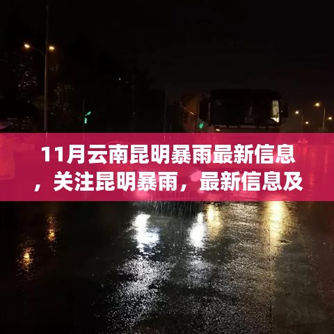 昆明暴雨最新动态，暴雨影响分析与关注