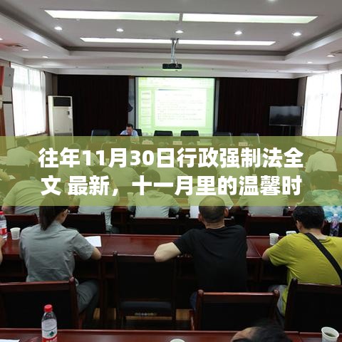 行政强制法，十一月温馨时光与家的故事回顾往年全文最新解读