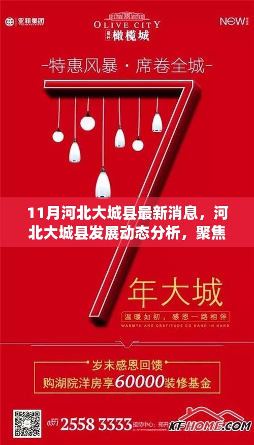 河北大城县最新发展动态解析，聚焦最新消息与正反观点探讨