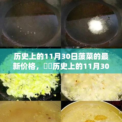 小红书带你探寻历史菜价变迁，揭秘11月30日菠菜最新价格回顾