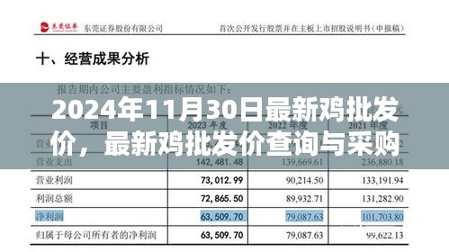 2024年最新鸡批发价指南，采购、查询一步到位，适用于初学者与进阶用户