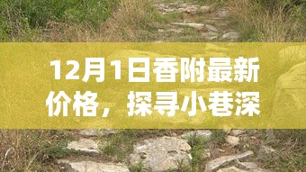 探寻小巷深处的宝藏，揭秘12月1日香附最新价格