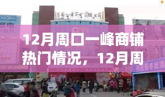 深度解析，周口一峰商铺在12月的热门情况