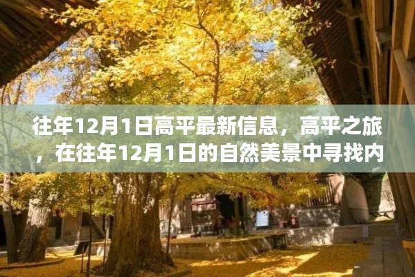 往年12月1日高平之旅，自然美景中的内心平静探寻