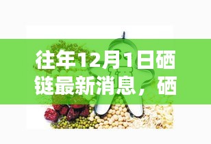 硒链革新引领科技生活新纪元，历年12月1日最新动态揭秘