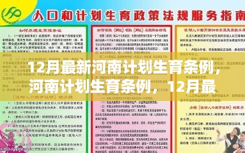 河南最新计划生育条例及申请流程详解（十二月最新版）