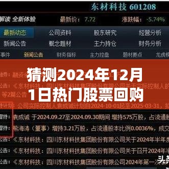 探析，2024年热门股票回购计划的展望与某某观点探析