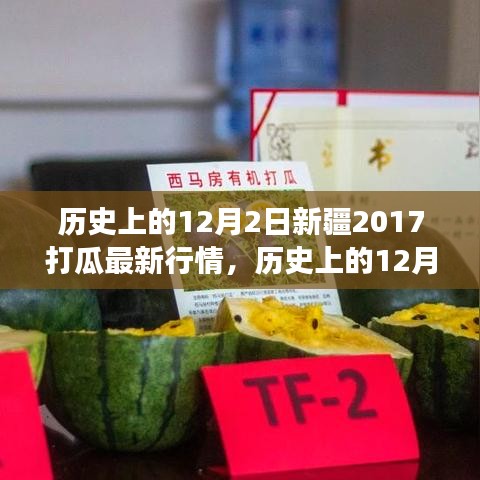 历史上的12月2日，新疆瓜田励志故事与打瓜行情的魅力展现