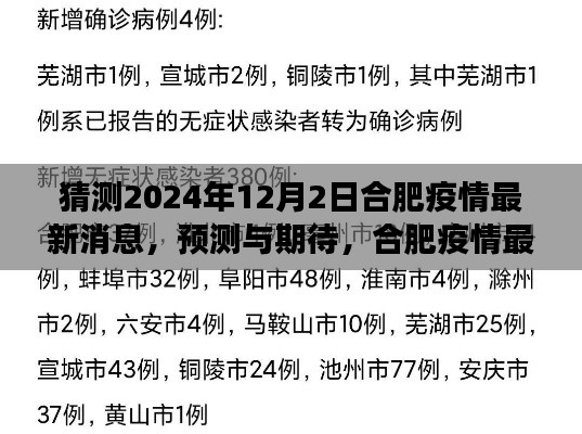 2024年12月2日合肥疫情最新动态深度解读与预测期待