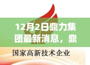 鼎力集团新品深度评测，最新动态、产品特性与用户体验全面剖析