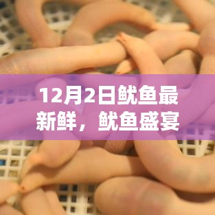 揭秘鲜味之源，探寻鱿鱼盛宴，探寻最新鲜鱿鱼就在12月2日