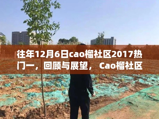 Cao榴社区2017年12月6日热门事件回顾与展望，深度解析与总结