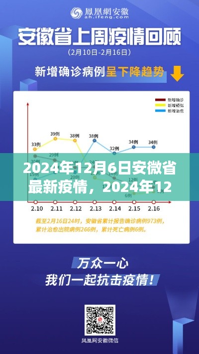 2024年12月6日安微省最新疫情，2024年12月6日安徽省最新疫情观点论述