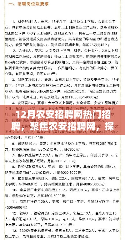 农安招聘网热门职位趋势解析，聚焦十二月招聘高峰