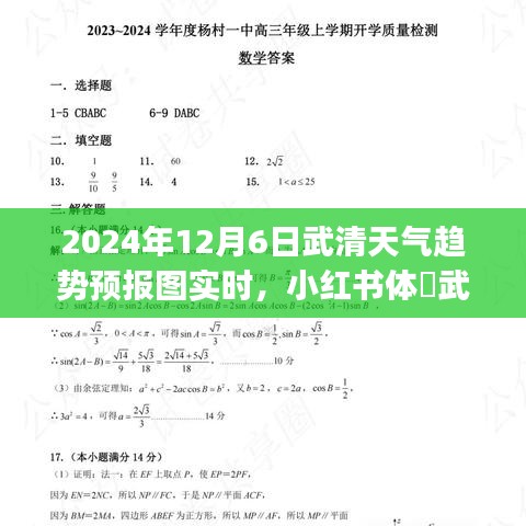 武清天气预报趋势图新鲜出炉，2024年12月6日天气趋势实时更新