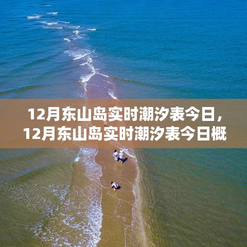 东山岛今日潮汐表概览，海潮涌动中的海岛魅力