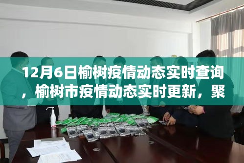 榆树市疫情动态实时更新，聚焦十二月六日的最新进展