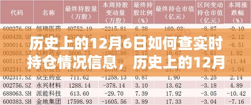 历史上的12月6日实时持仓情况深度解析与评测介绍