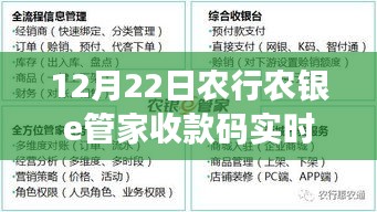 农行农银e管家收款码实时到账操作指南，从初学者到进阶用户的全方位指南