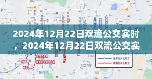 2024年12月22日双流公交实时运营情况及未来发展展望