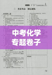 中考化学专题卷子备考策略及技巧解析