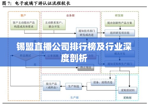 锡盟直播公司排行榜及行业深度剖析