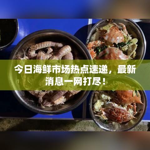 今日海鲜市场热点速递，最新消息一网打尽！