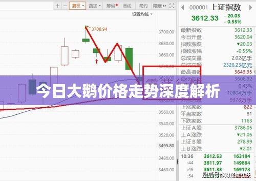 今日大鹅价格走势深度解析